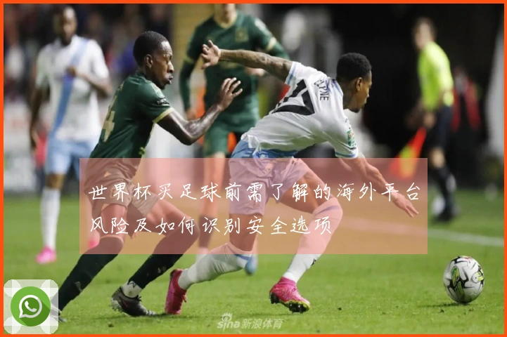 世界杯买足球前需了解的海外平台风险及如何识别安全选项